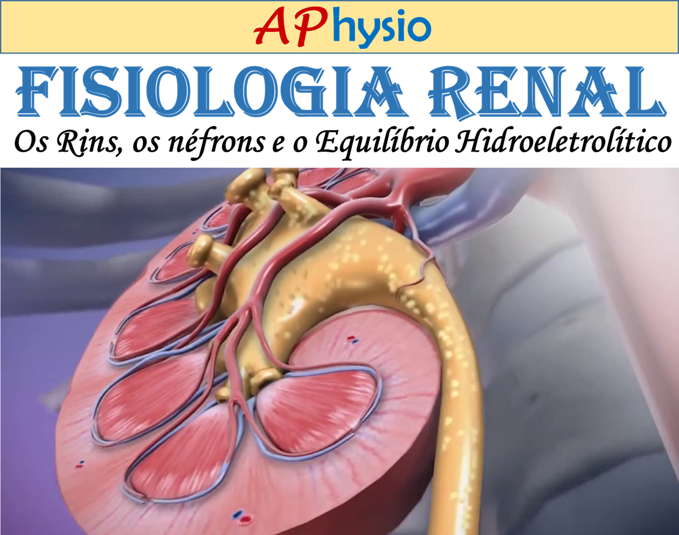 fisiologia renal